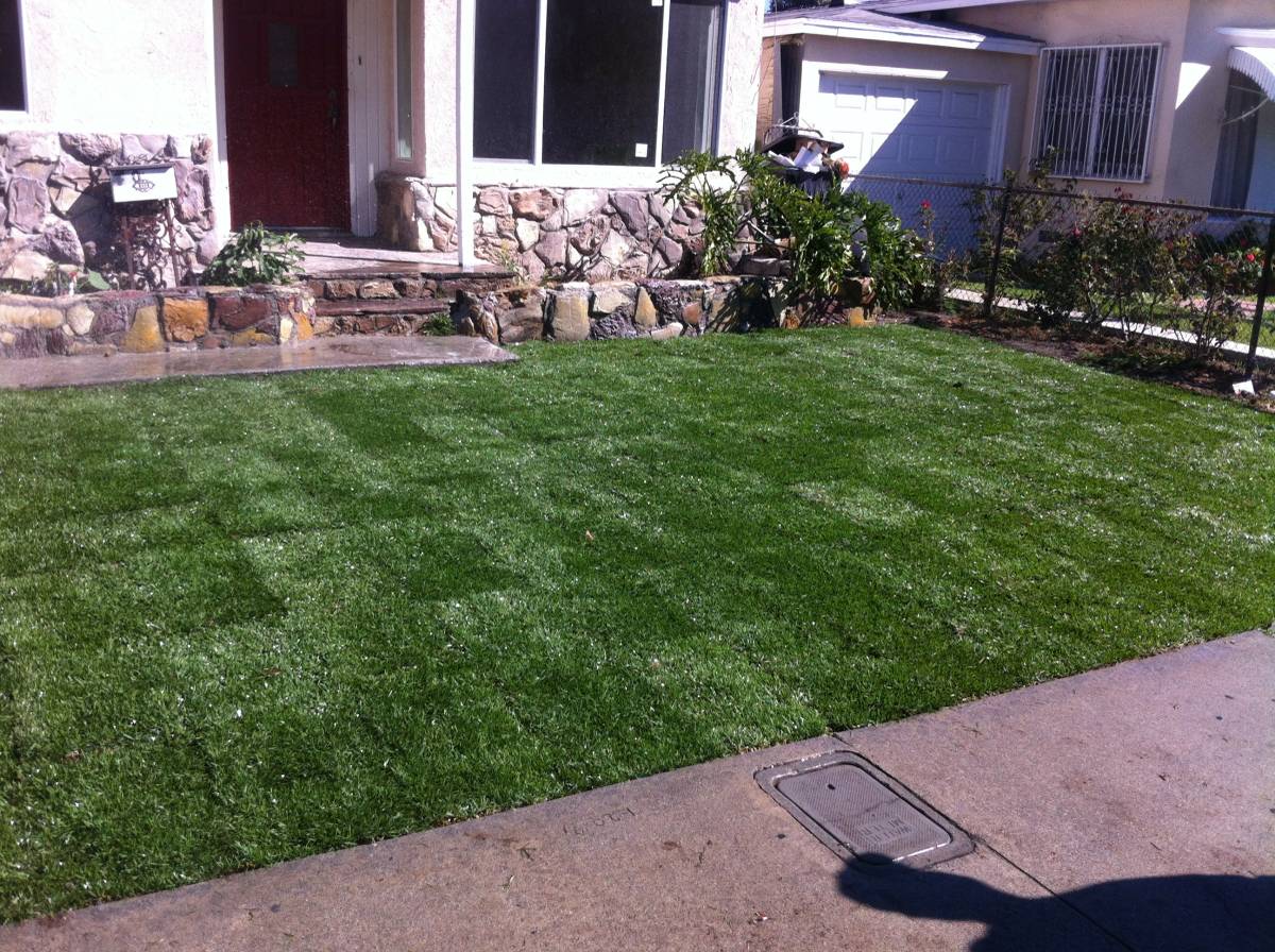 Immanuel’s tree service business image in Lancaster, CA